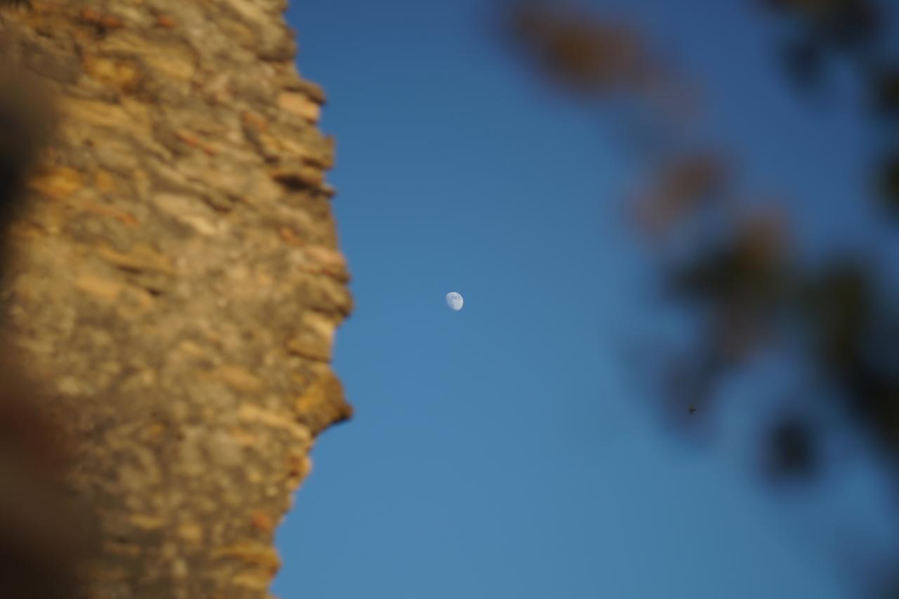 Torre Della Loggia - Dimora Storica - Ortona住宿加早餐旅馆 外观 照片